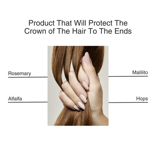 NUME NUME VEGAN SCALP SUPPORT SERUM | DAILY CARE FOR THINNING HAIR