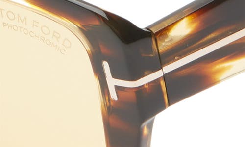 Tom Ford Redford 56mm Navigator Sunglasses In Brown