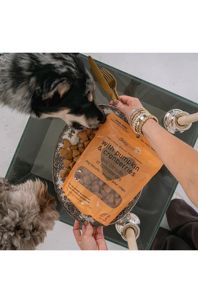 Dexypaws Pumpkin 
Cranberry Dog Biscuits 12oz Natural Pet Treats, Alternate, color, Brown