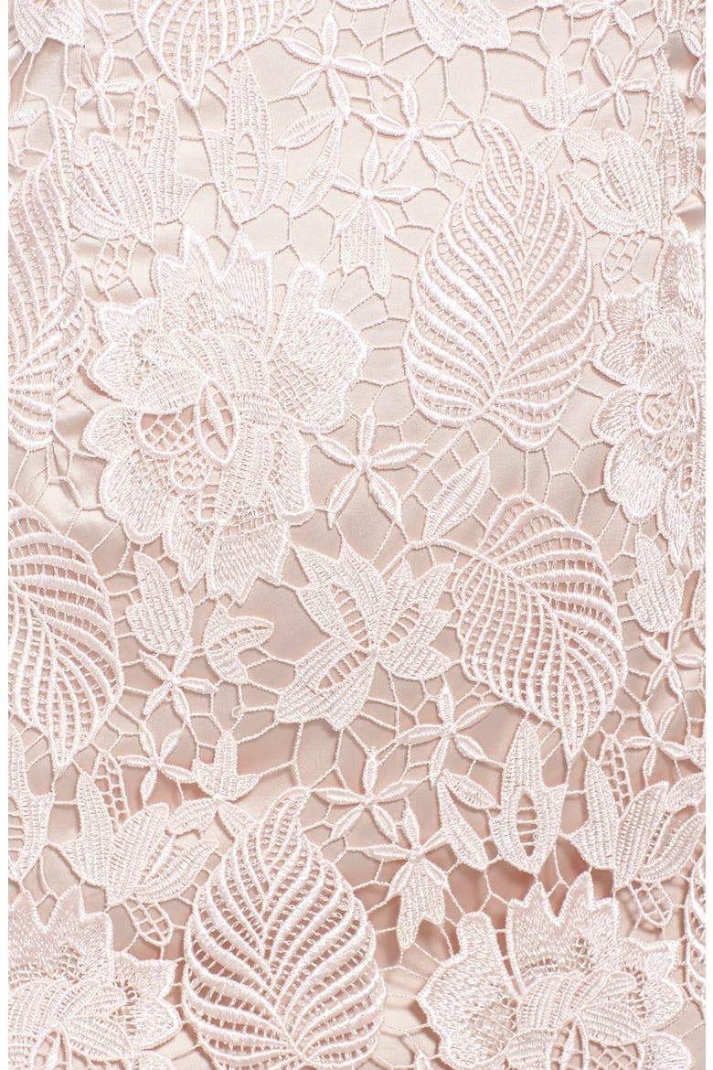 Embroidered Lace Overlay Sheath Dress, Alternate, color, BLUSHZDNU