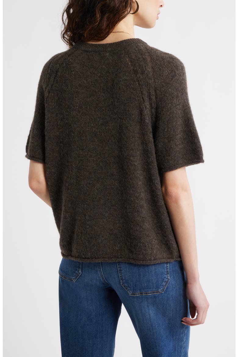 Relaxed Short Sleeve Sweater, Alternate, color, BROWN MALICACIA