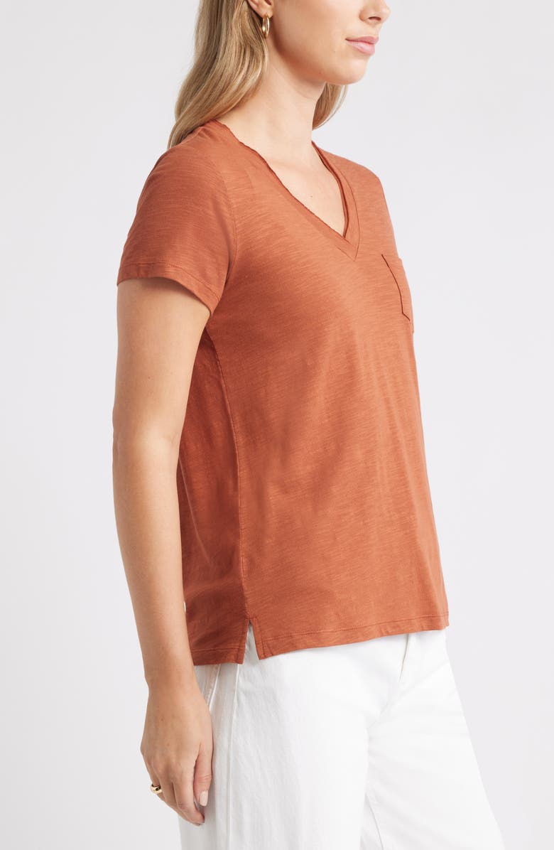 Caslon<sup>®</sup> Cotton & Modal V-Neck T-Shirt, Alternate, color, Rust Sequoia