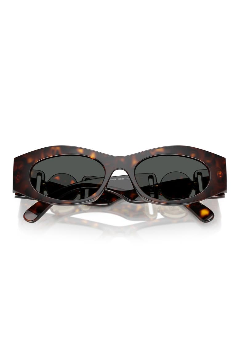 51mm Oval Sunglasses, Alternate, color, HAVANA / DARK GREY