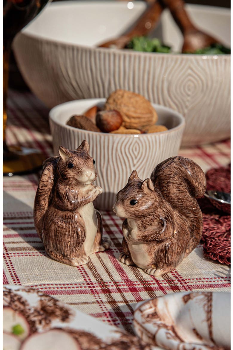 Clever Creatures Squirrel Salt & Pepper Shaker Set, Alternate, color, WALNUT