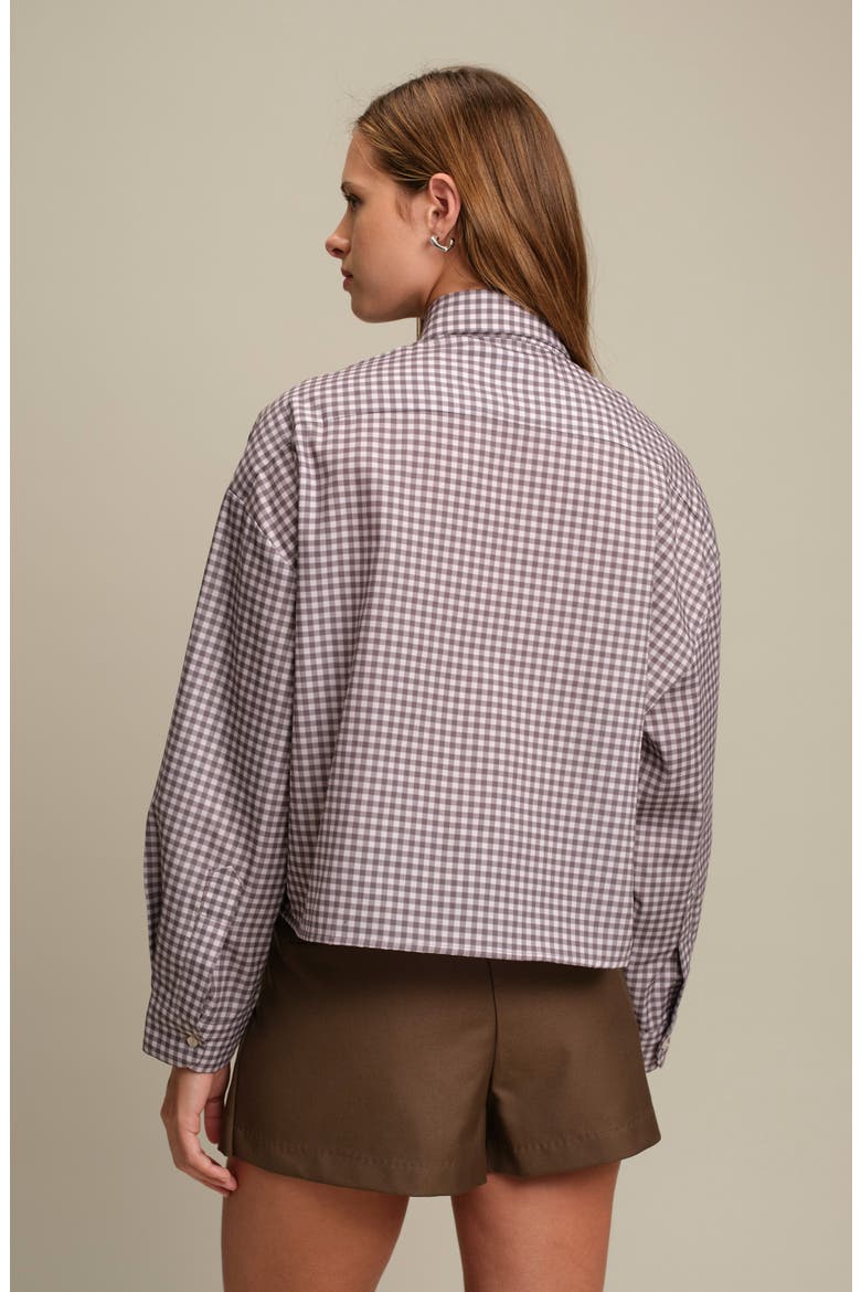 Lance Check Print Cotton Poplin Shirt, Alternate, color, VICHY MINK