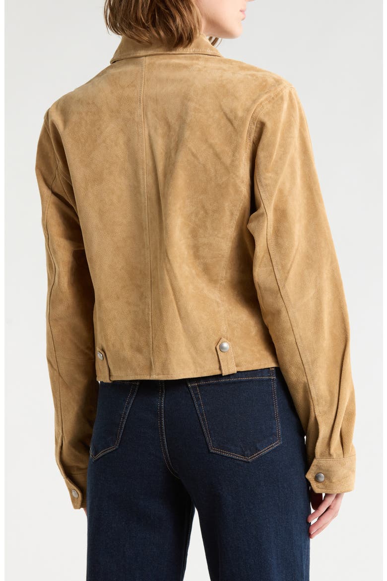 Crop Suede Jacket, Alternate, color, CINNAMON CRUNCH