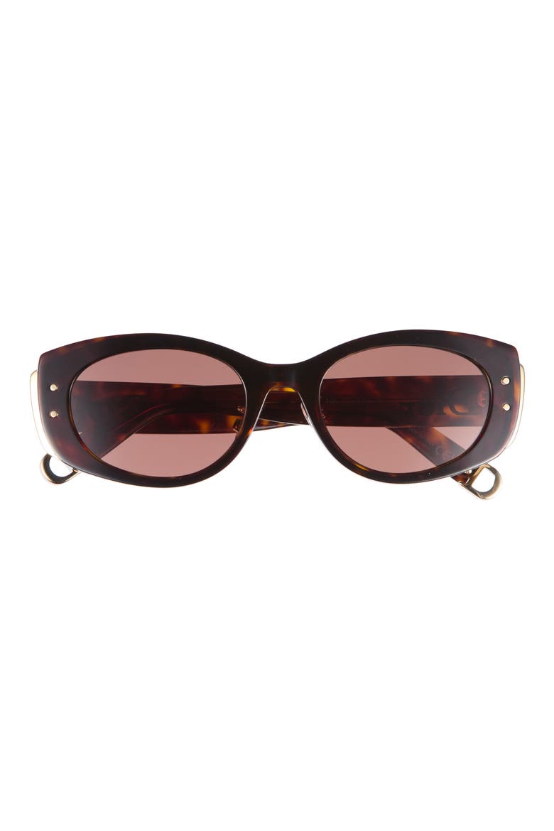B1U Oval Sunglassses, Main, color, DARK HAVANA / BROWN