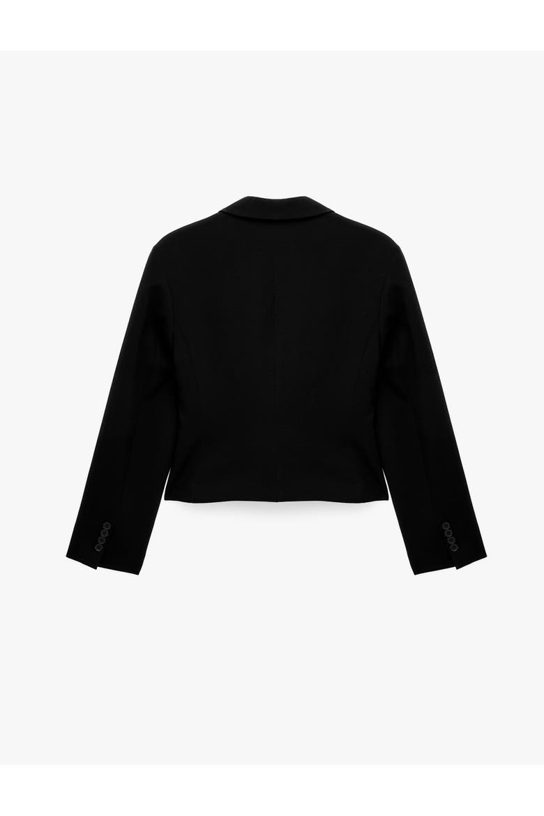 Long Sleeve Shawl Collar Cropped Blazer Jacket, Alternate, color, BLACK