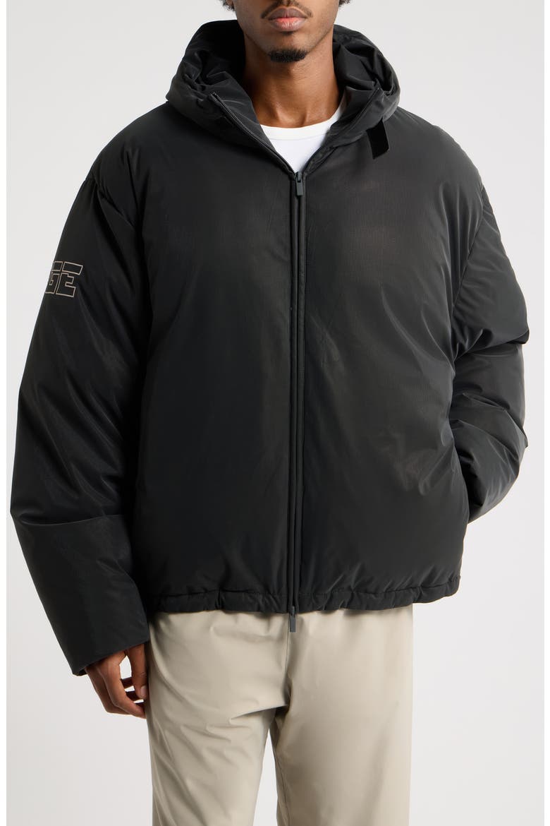 Hooded Down Jacket, Alternate, color, BLACK