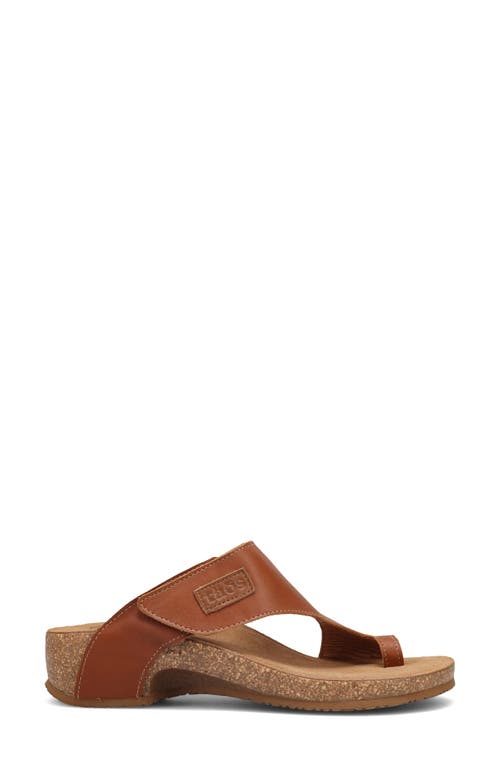 Taos Loop Toe Loop Sandal In Brown