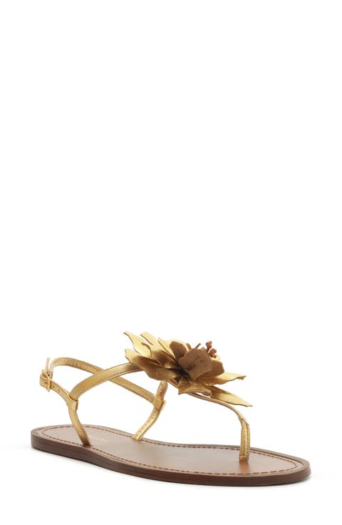 Daisy Slingback Sandal (Women)
