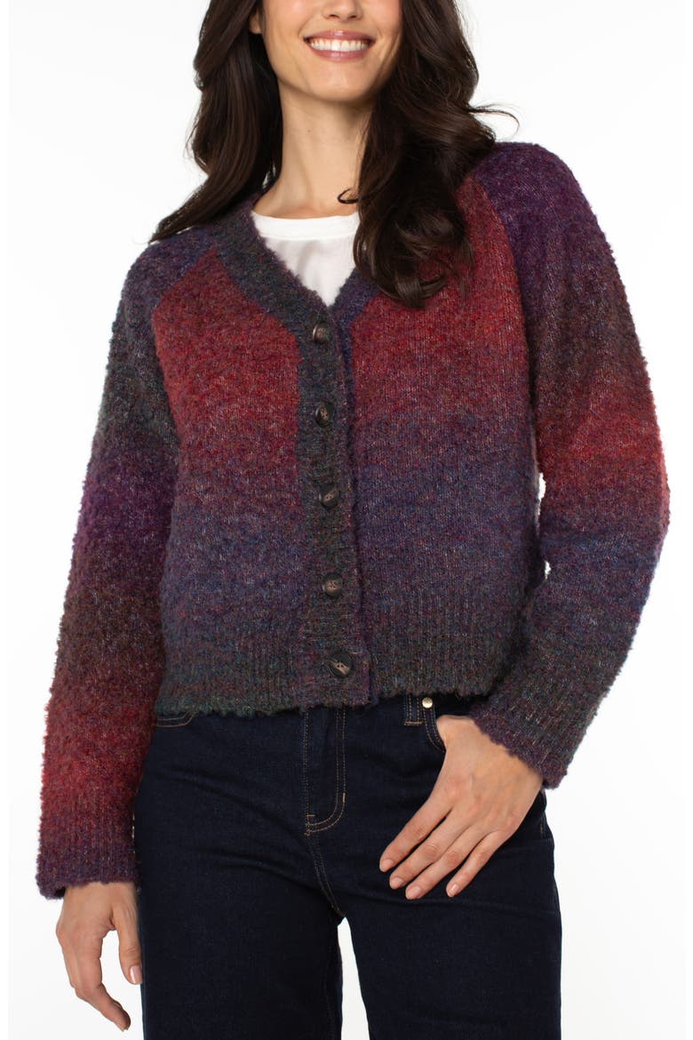 Raglan Sleeve Cardigan, Alternate, color, BERRY / BURGUNDY OMBRE