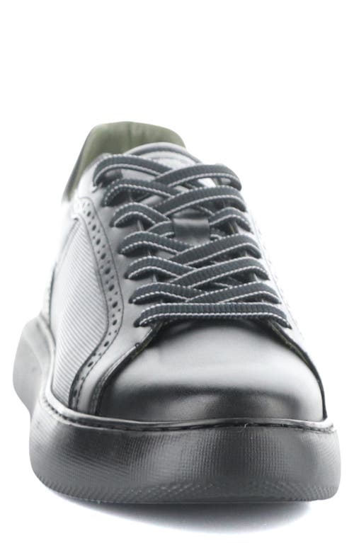 Ambitious 12500 Sneaker In Black