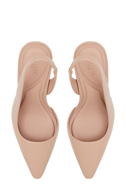 Ted Baker Ari Slingback Pointed Toe Pump In Pink