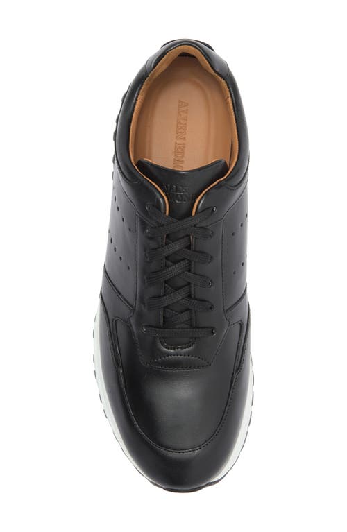 Allen Edmonds Everett Sneaker