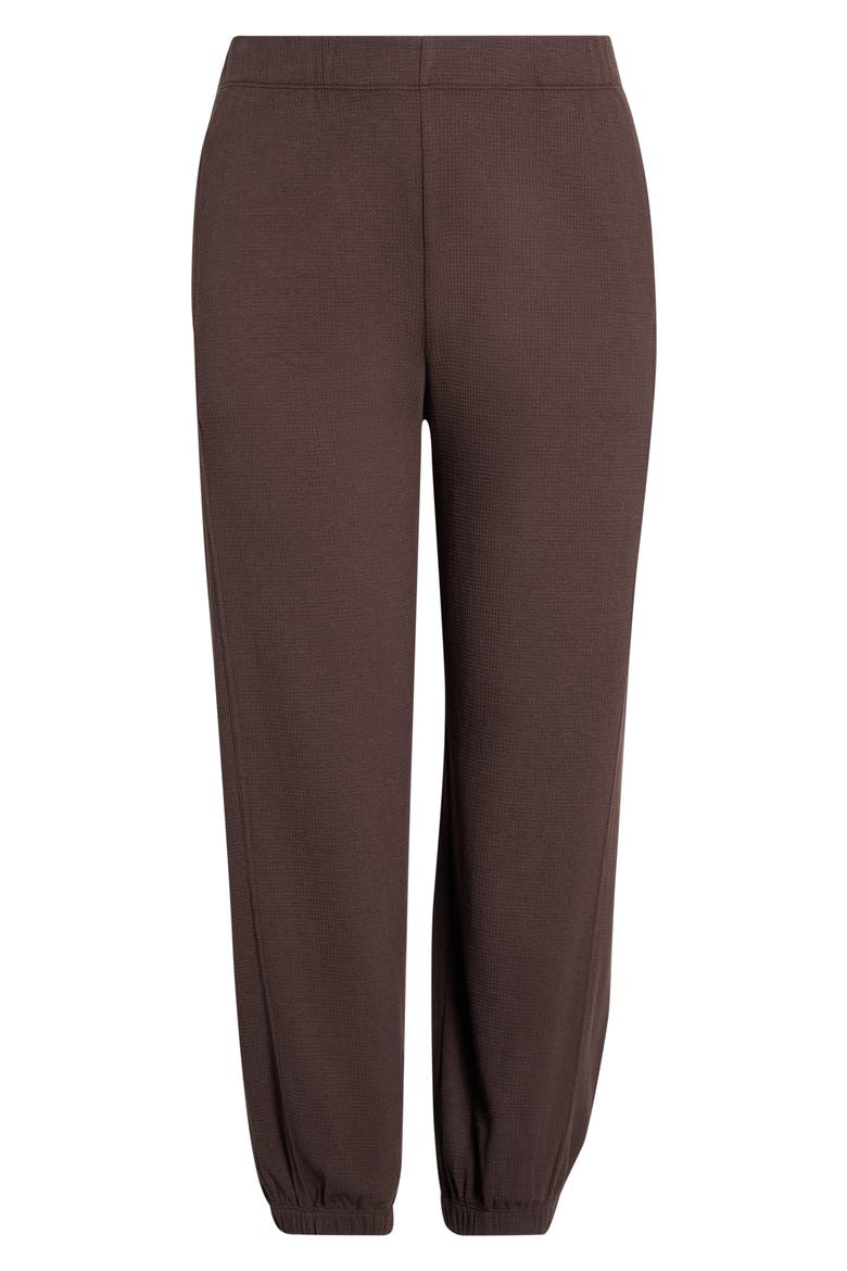 Organic Cotton & Tencel Lyocell Ankle Jogger Pants, Alternate, color, COFFEE