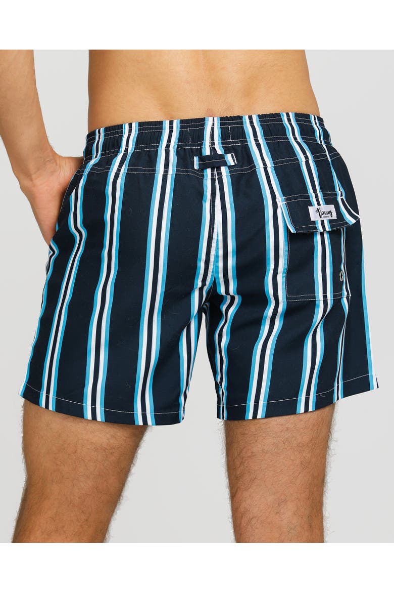 Nice Swim Short, Alternate, color, Navy & Light Blue Stripe