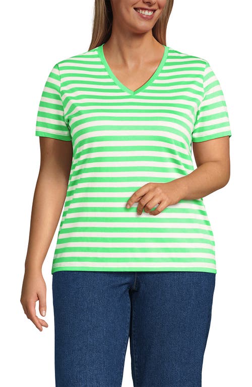 Lands' End Relaxed Supima Cotton T-Shirt in Crisp Mint Even Stripe 