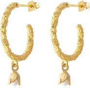 PERACAS Lily Daily Hoops