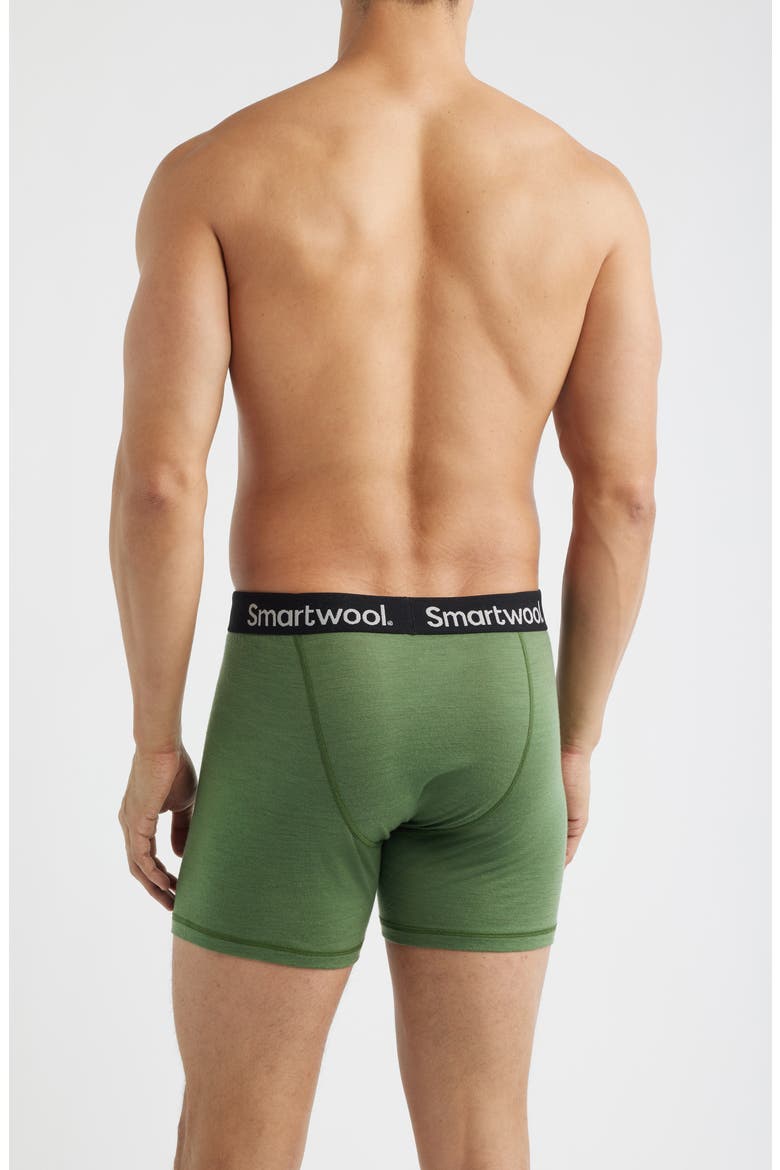 Merino Boxer Briefs, Alternate, color, FERN GREEN