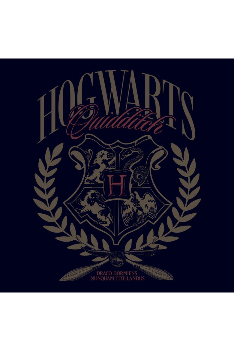 Men's Harry Potter Hogwarts Quidditch Red Crest  Graphic T-Shirt, Alternate, color, Navy Blue