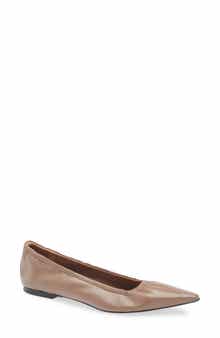 Aprica Pointed Toe Flat