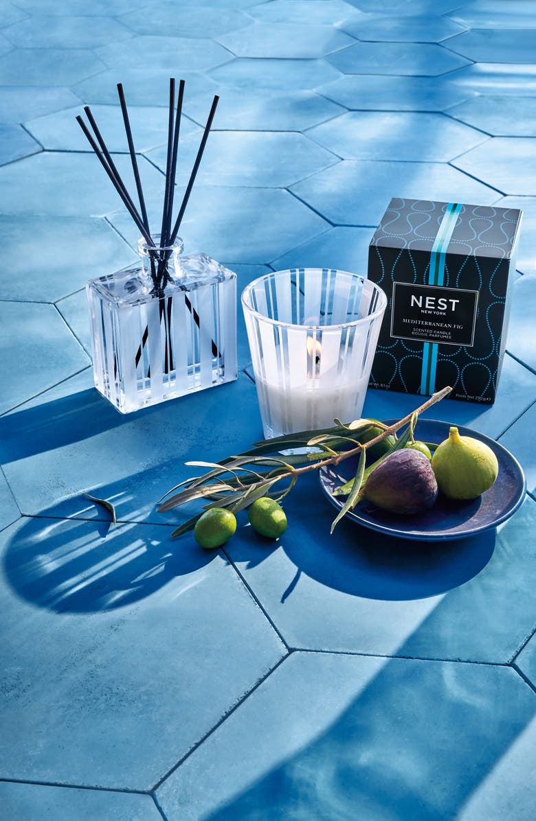 NEST New York Mediterranean Fig Reed Diffuser, Alternate, color,