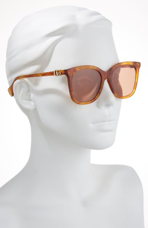 Gucci 55mm Cat Eye Sunglasses In Havana Havana Brown