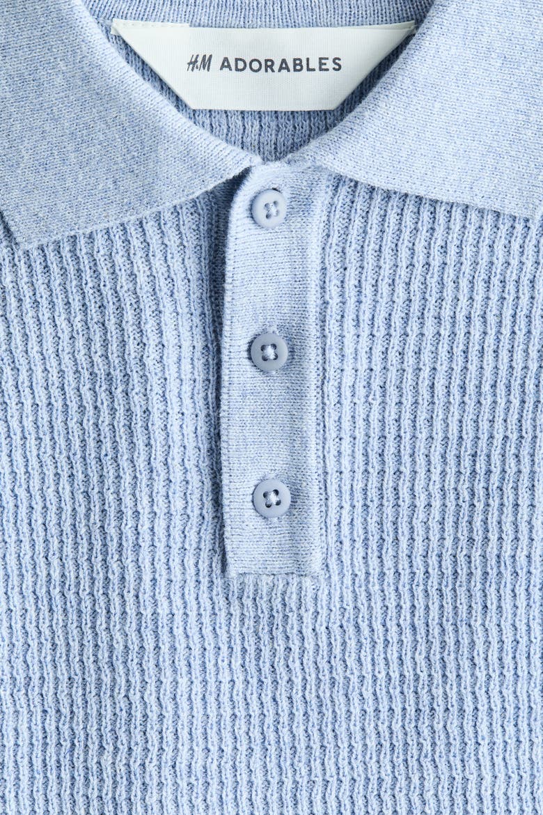 Rib-knit Polo Shirt, Alternate, color, Light dusty blue