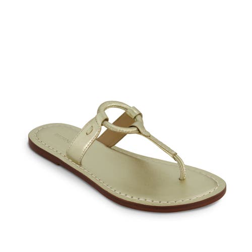Bernardo Footwear Matrix 2 Thong Sandal In Champagne
