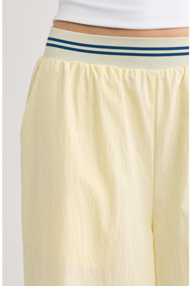 Adam Wide Leg Pants, Alternate, color, PALE YELLOW