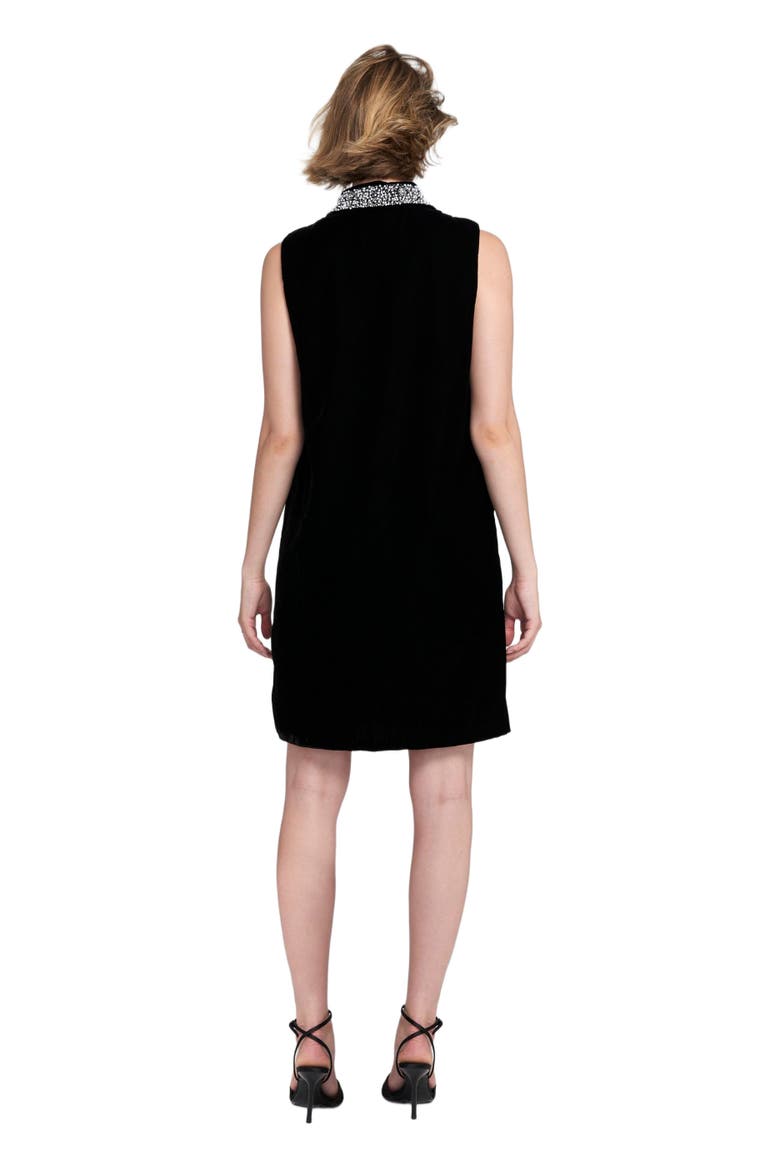 Beaded Collar Velvet Dress Slip, Alternate, color, Black