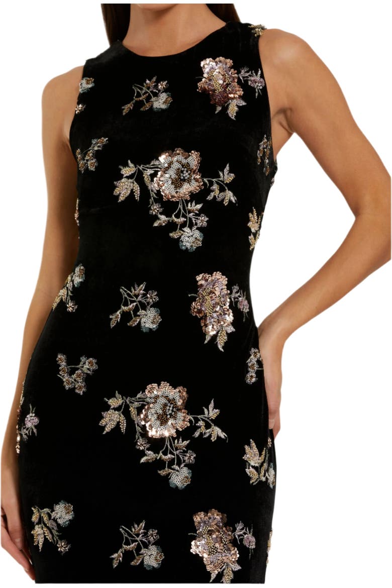 Embellished Velvet High Neck Sleeveless Gown, Alternate, color, Black Multi
