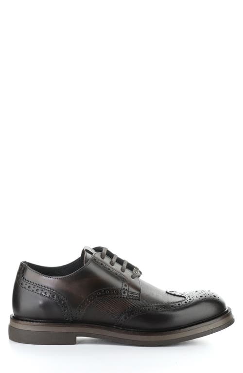 Ambitious Whipstitch Cap Toe Derby In Black