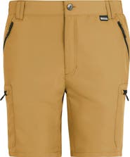 Regatta Leesville Iii Shorts