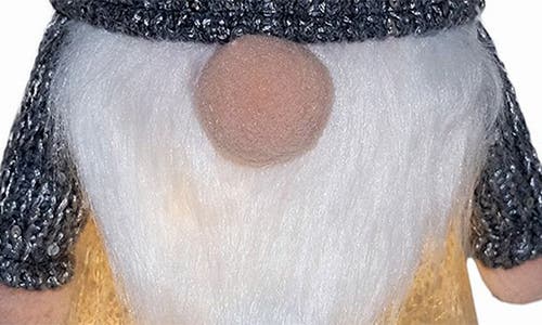 Home Essentials And Beyond 9.84-inch Lighted Plush Dash Gnome In Multi