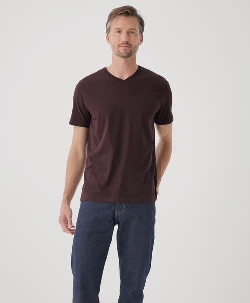 Pact Softspun Essential V-neck Tee In Multi