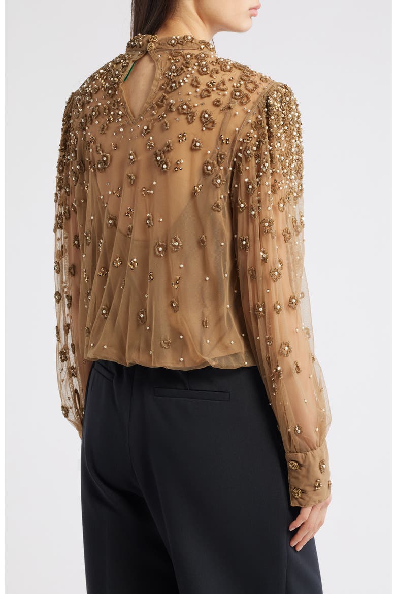 Embroidered Tulle Lined Blouse, Alternate, color, CARAMEL