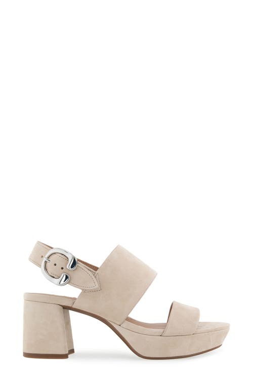 AEROSOLES AEROSOLES CAMERA PLATFORM SANDAL 