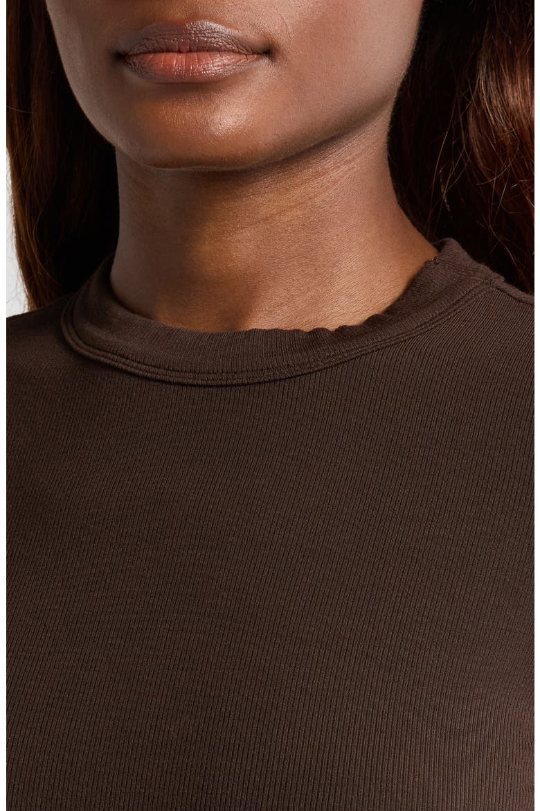 Rib Baby Tee, Alternate, color, ESPRESSO