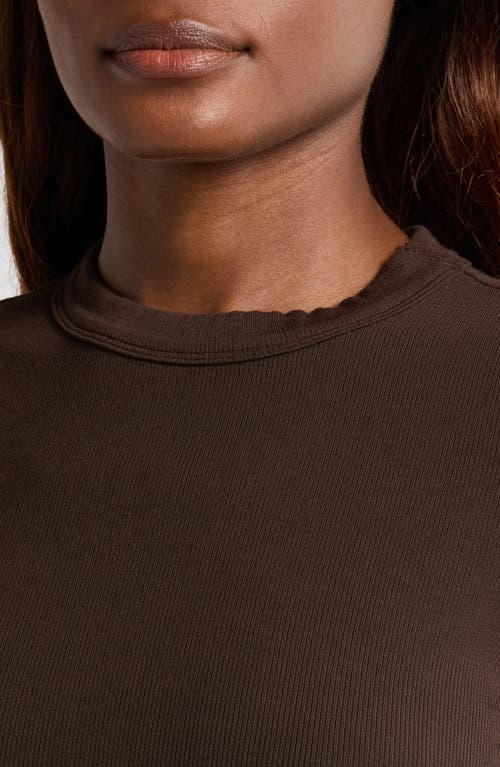 Frame Rib Baby Tee In Brown