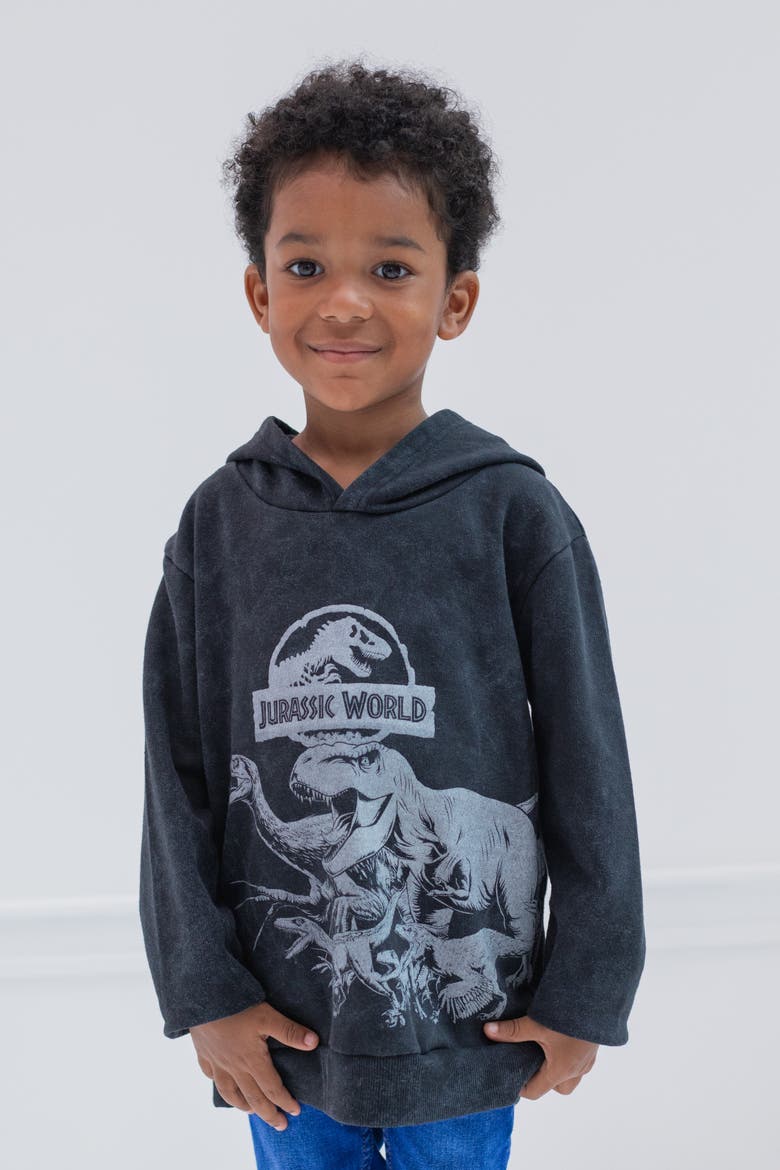 Jurassic Park Fleece Hoodie, Alternate, color, Mineral Wash Grey