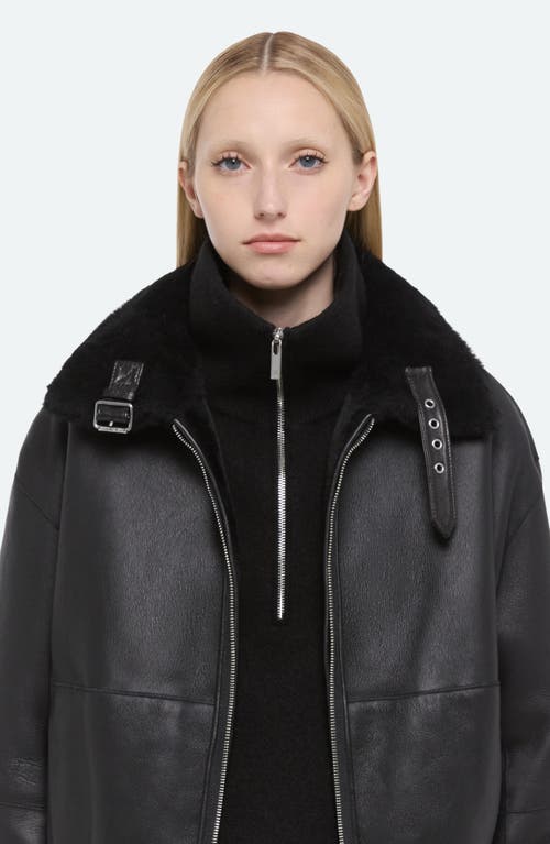 Helmut Lang Genuine Shearling Bomber Jacket In Black