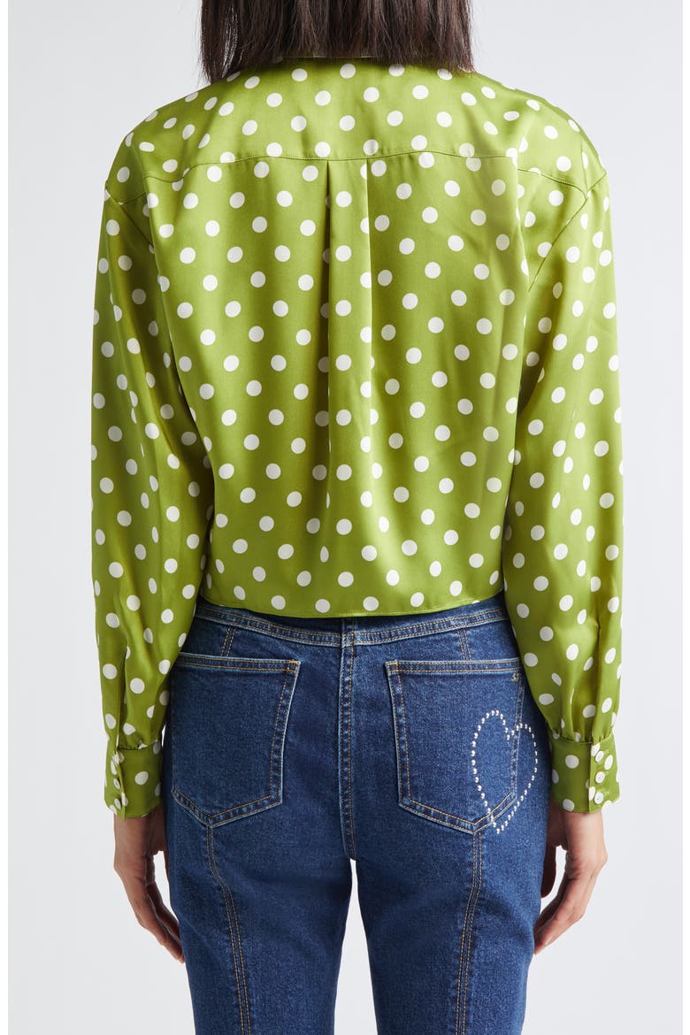 Camille Polka Dot Marianna Tie Front Top, Alternate, color, PICKLE/ IVORY