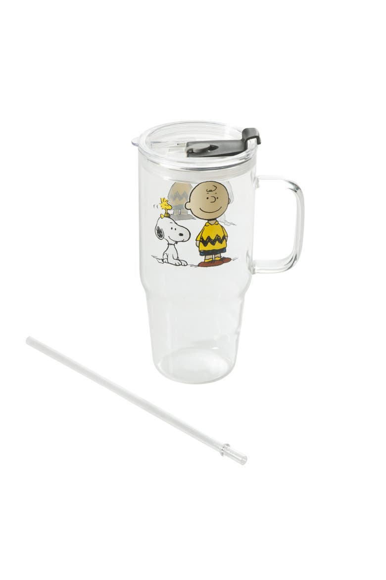 Cool Pals 3-Piece Borosilicate Glass Tumbler Set with Handle and Straw, Alternate, color, Clear