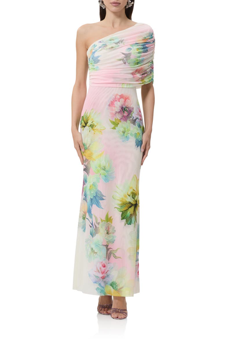 Mirabel One-Shoulder Mesh Maxi Dress, Main, color, GROWING ROSES