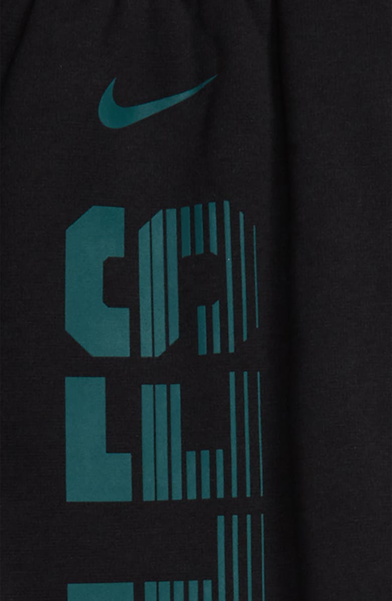 Nike NFL Logo Philadelphia Eagles Therma Dri-FIT Pants, Alternate, color,