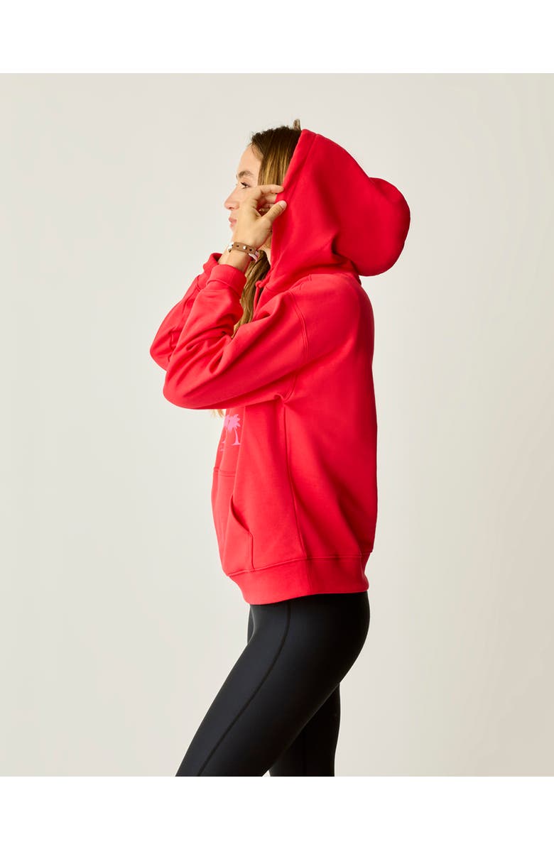 Carve Designs Hawthorne Hoodie, Alternate, color, Poinsettia Grid