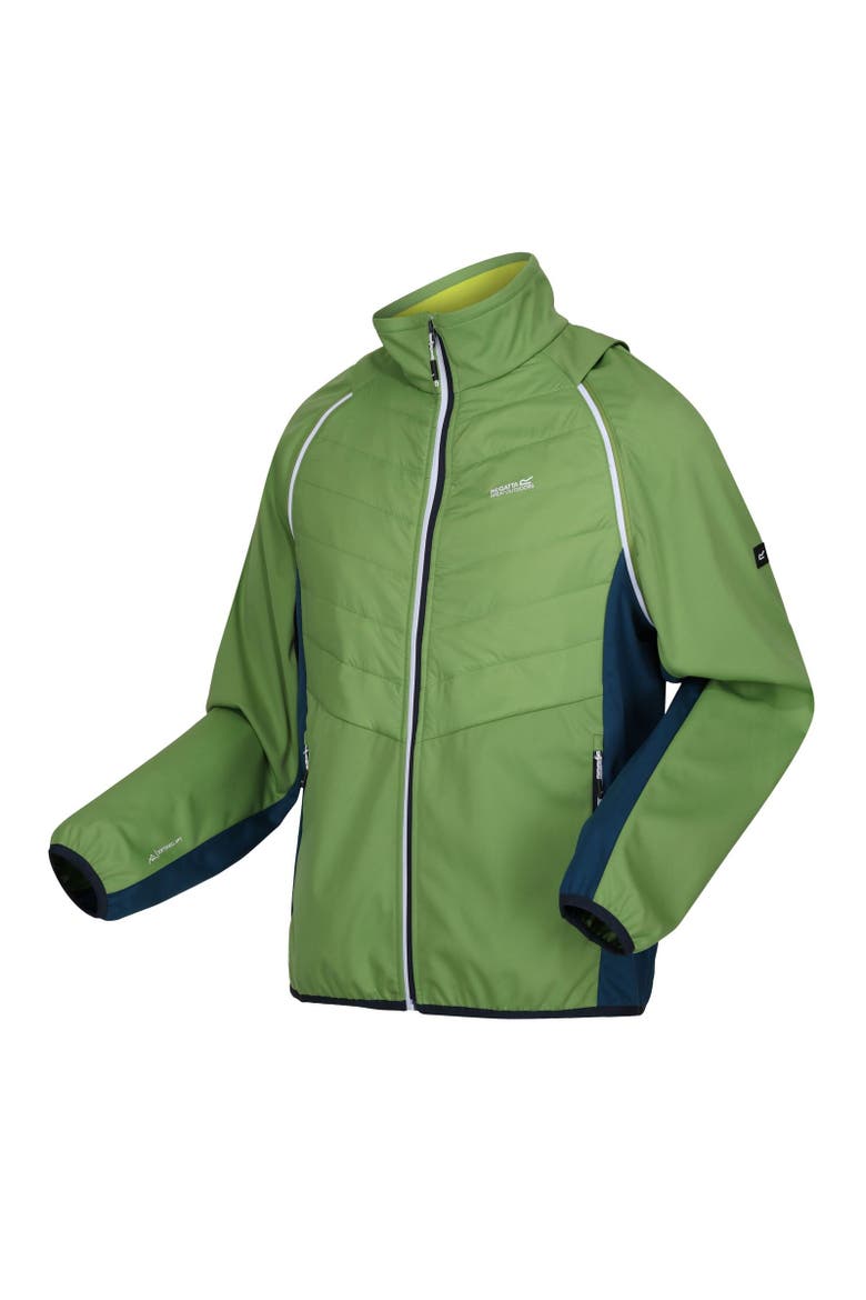 Steren II Softshell Hybrid Jacket, Alternate, color, Piquant Green  Moroccan