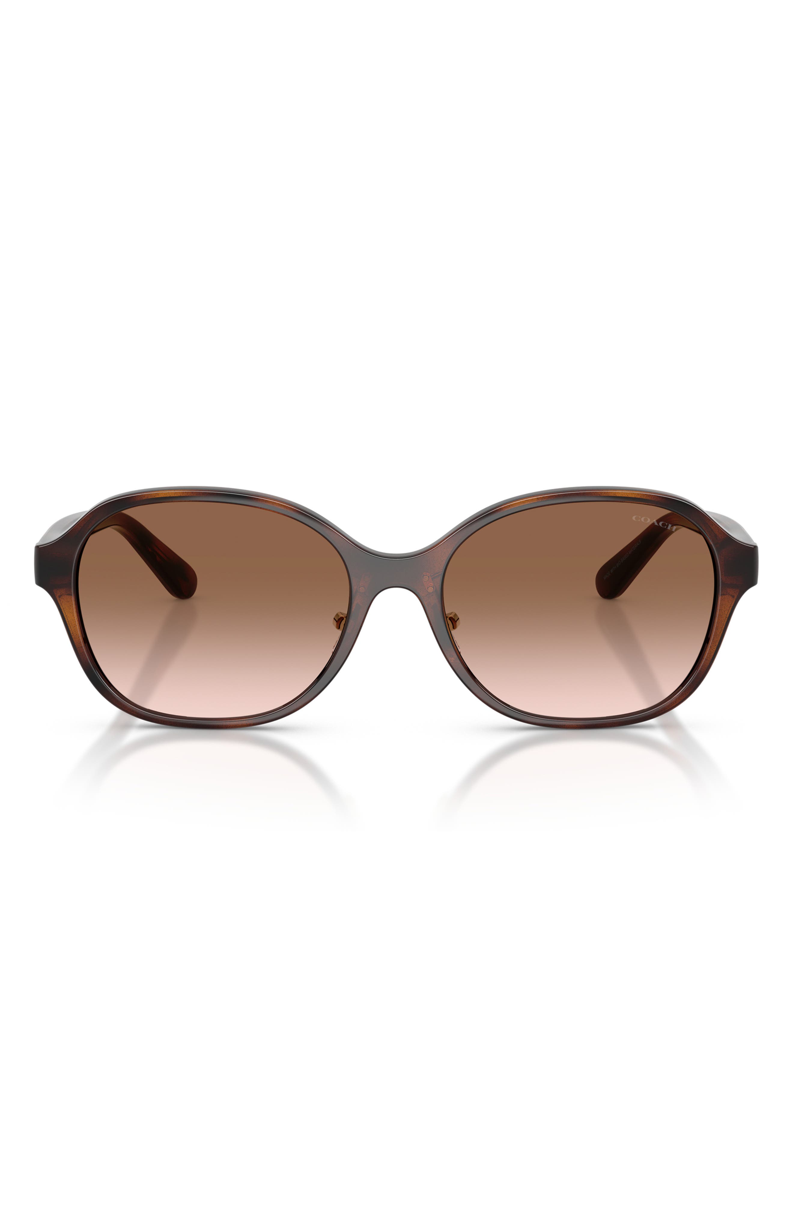 DARK TORTOISE / BROWN GRADIENT